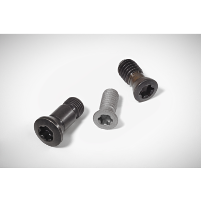 W-EZ-Z-SCREW-WITH-HEAD-WH-P-01 image