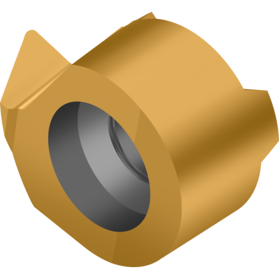 WE-B-L-GOLD-P-01 kuva
