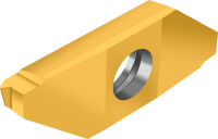 WT-L-EL-VOLL-ISO-GOLD-P-01