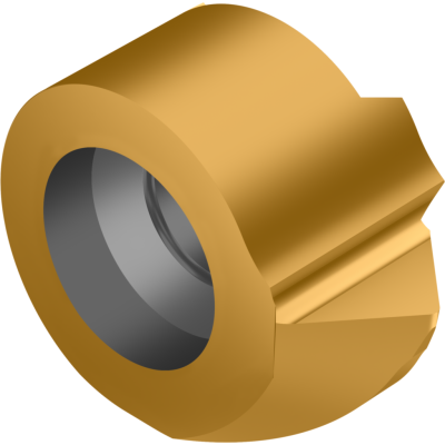 WE-T-45-R-GOLD-P-01 kuva