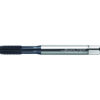 P-TR-TC430-M-C6-WW60EL-P-01 kuva